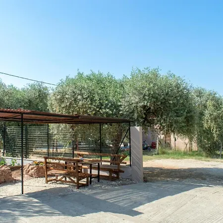 Garden View Apartment