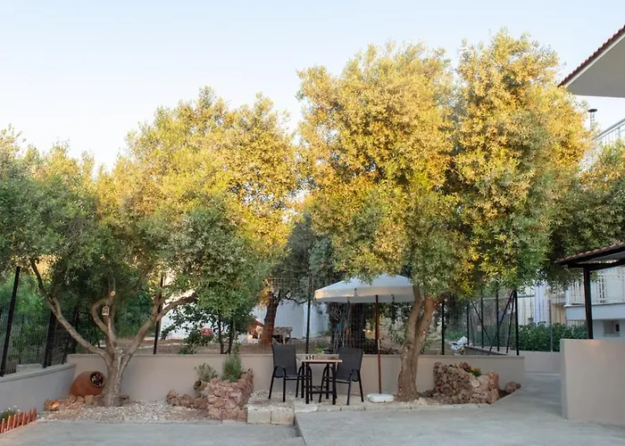 Garden View Apartment *